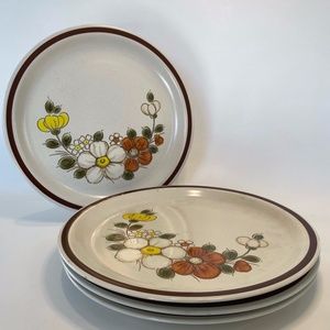 BOHO/Vintage Woodhaven Sunnybrook Dinner Plates 4